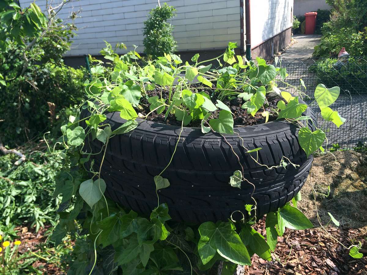 2014-04-28 09-58-21.JPG